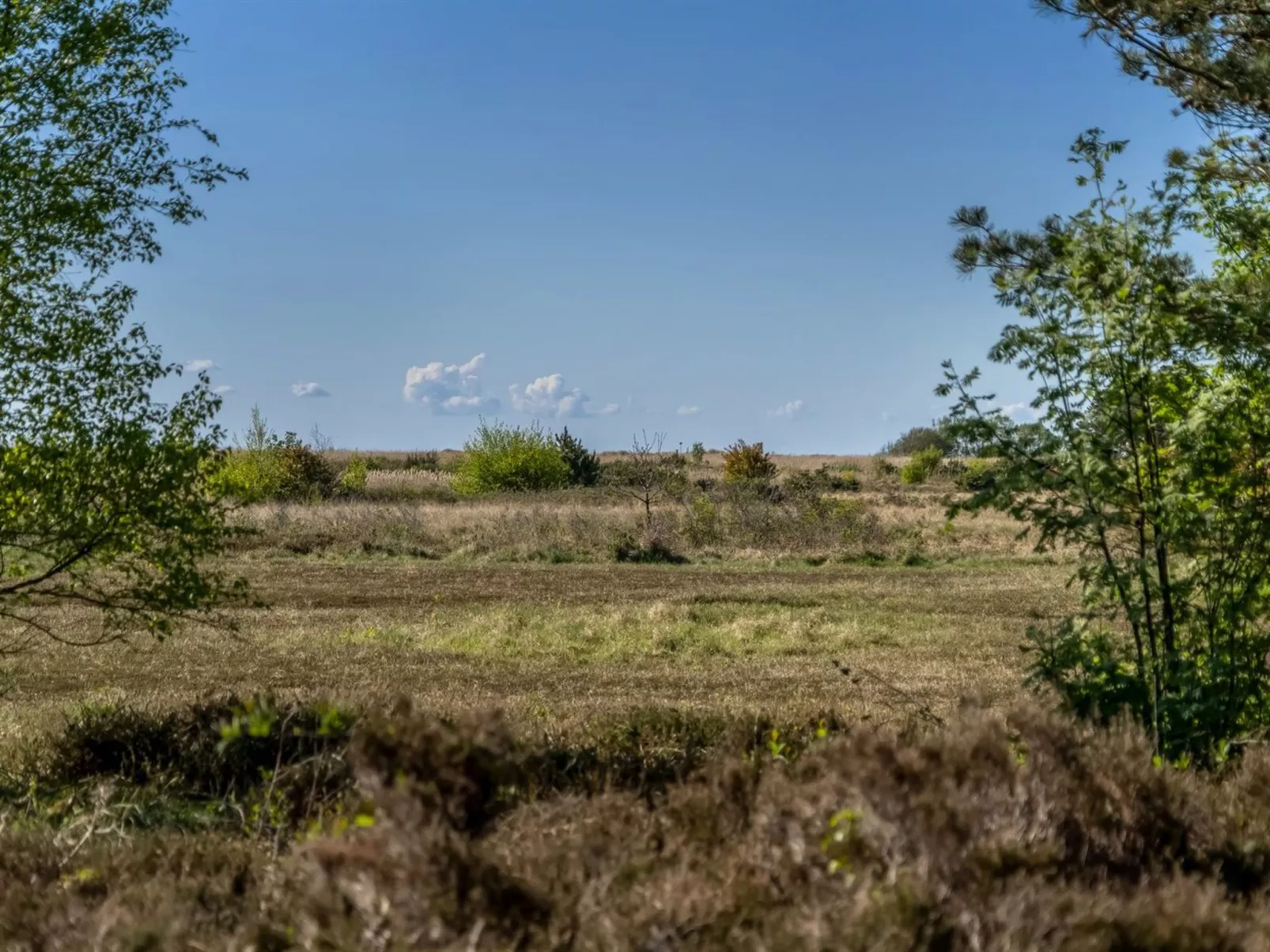 "Annestine" - 200m from the sea-Buiten
