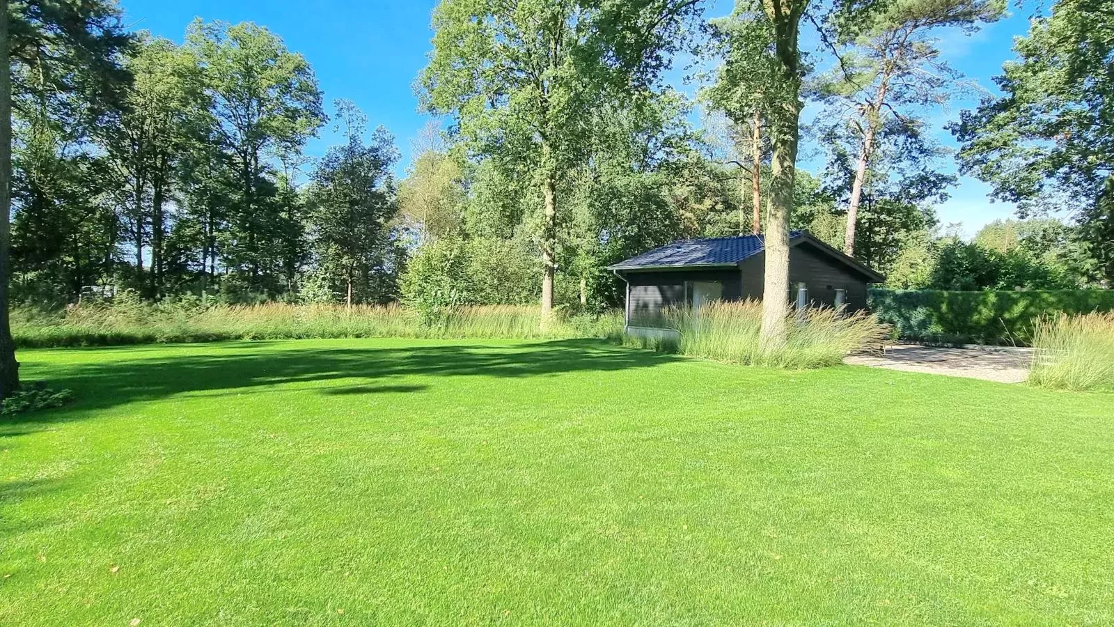 Quercus-Buitenkant zomer