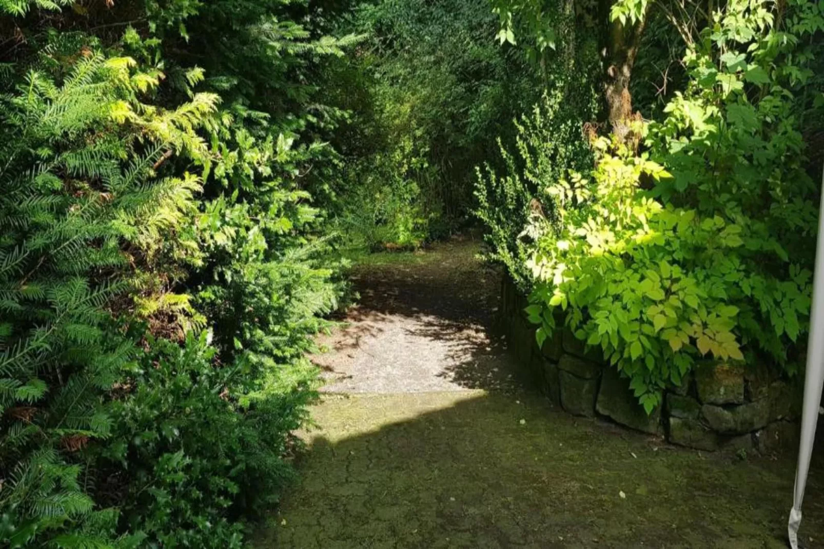 Ferienwohnung Veranda in Harz Wildemann-Gebieden zomer 20km