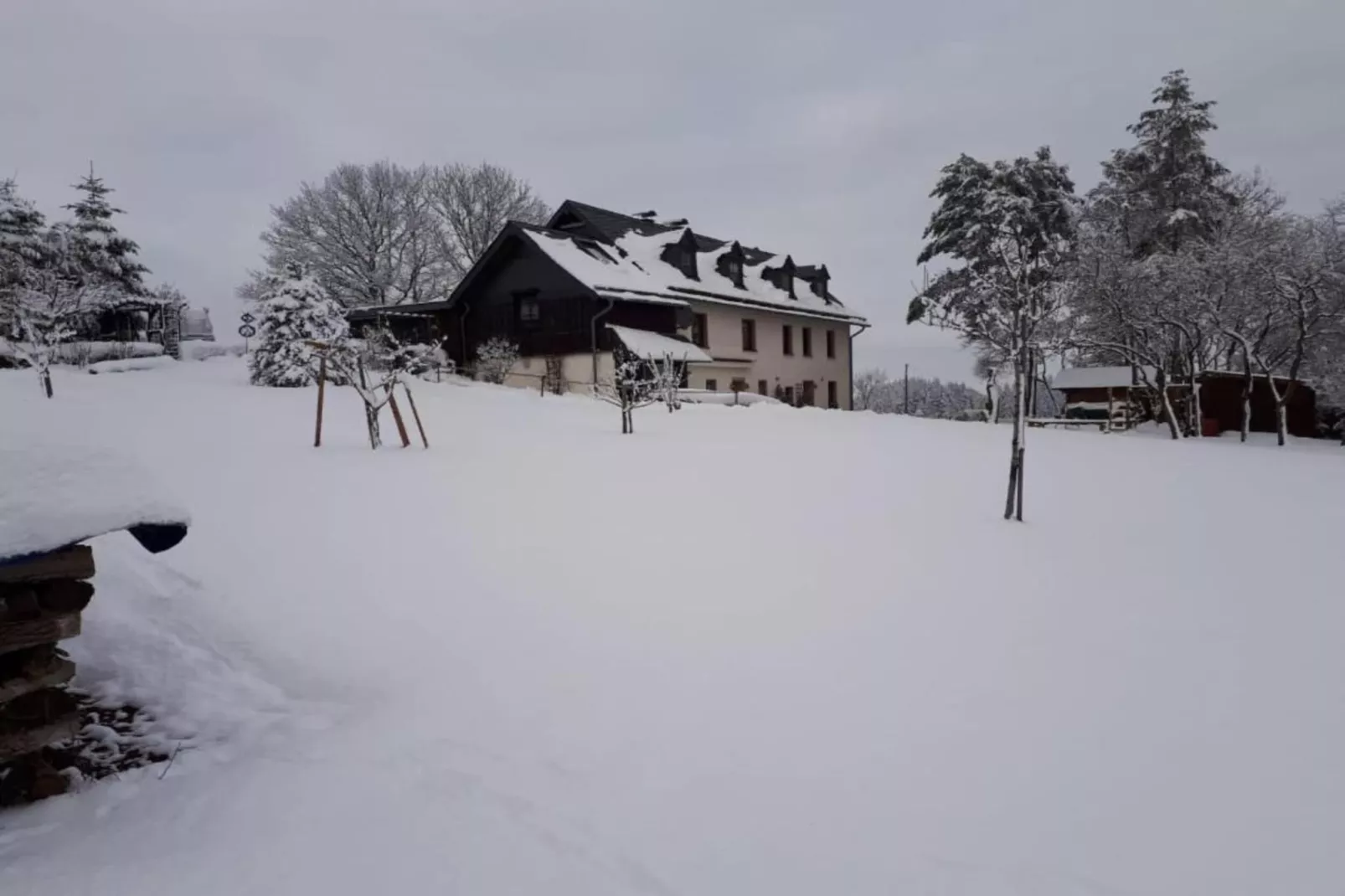 Bungalow Typ B 4P - Camping Park in der Eifel-Gebieden zomer 20km