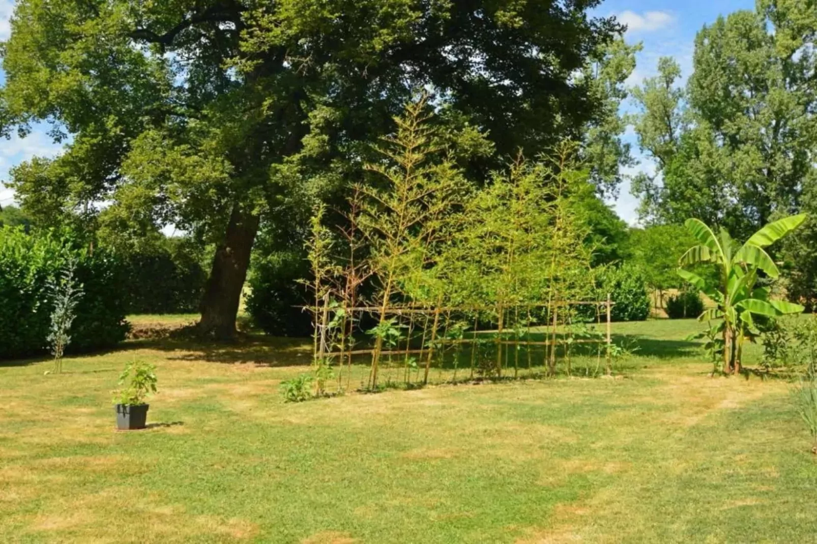 Le Bolet-Gebieden zomer 20km