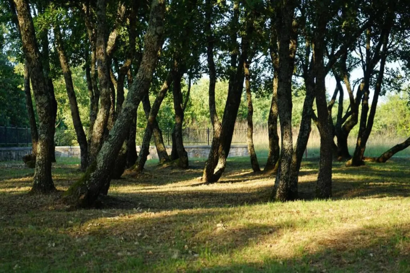 Villa Bella-Gebieden zomer 20km