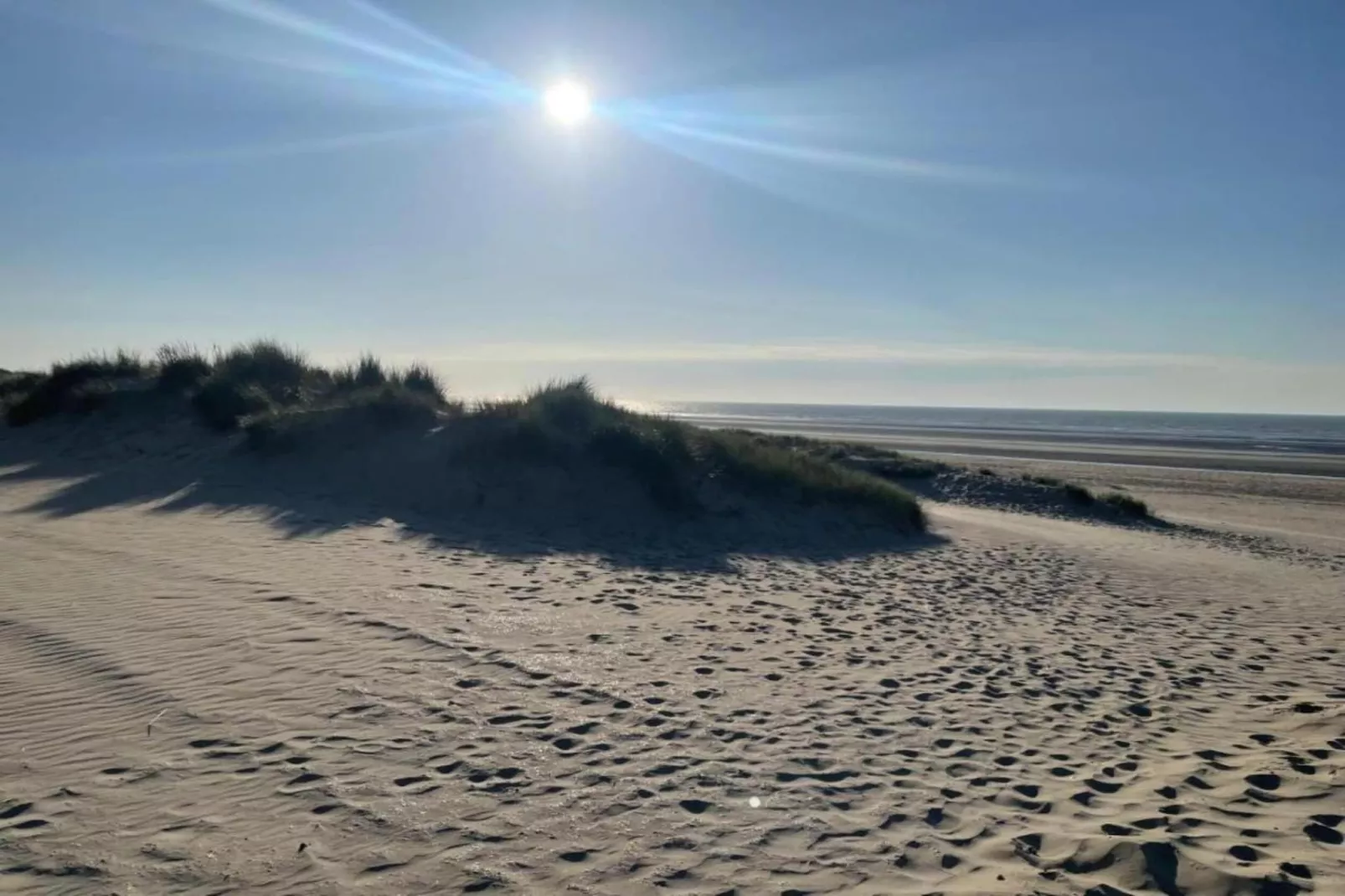 W94-Gebieden zomer 20km