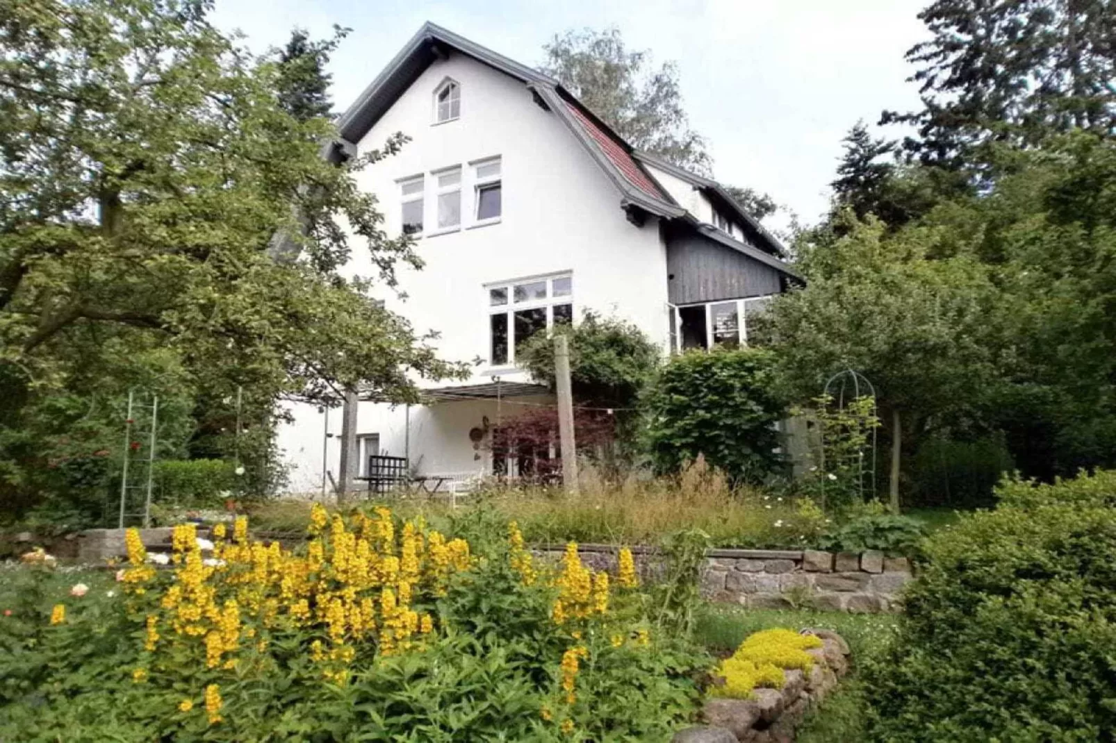 36216-Buitenkant zomer