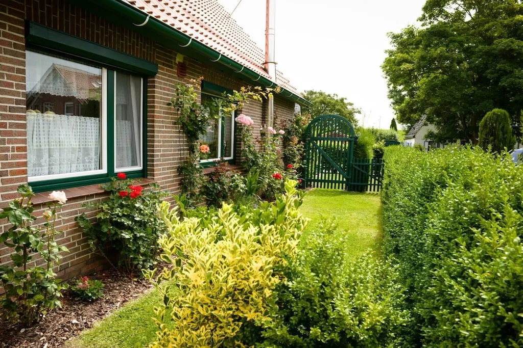 47615-Niet-getagd