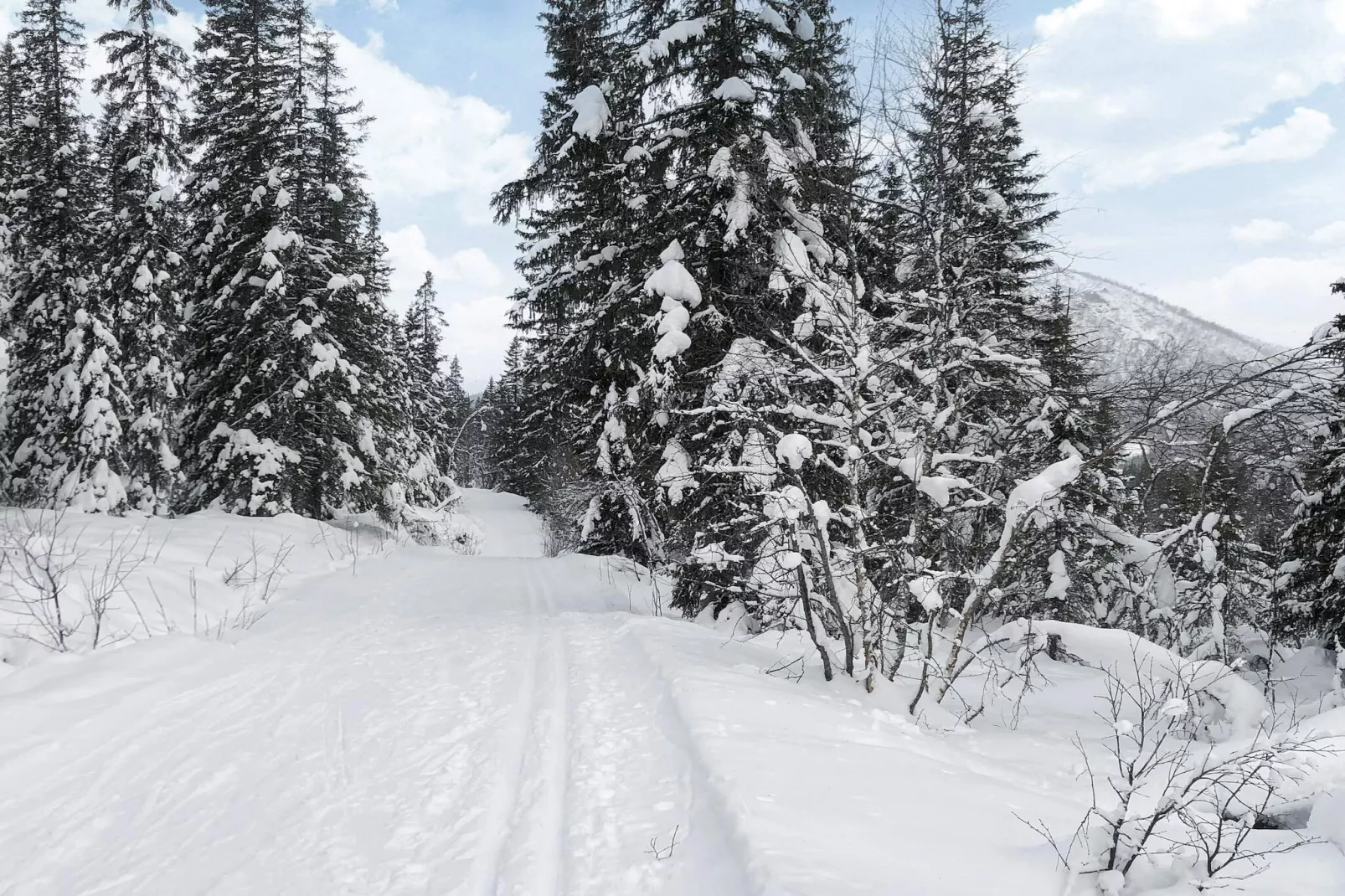 4 sterren vakantie huis in Hemsedal-Niet-getagd