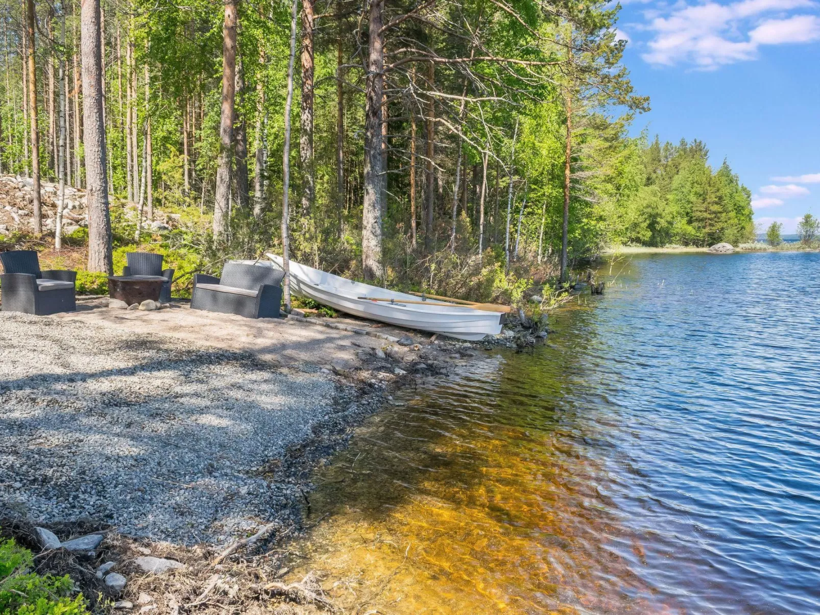 Koli suurselkä 1