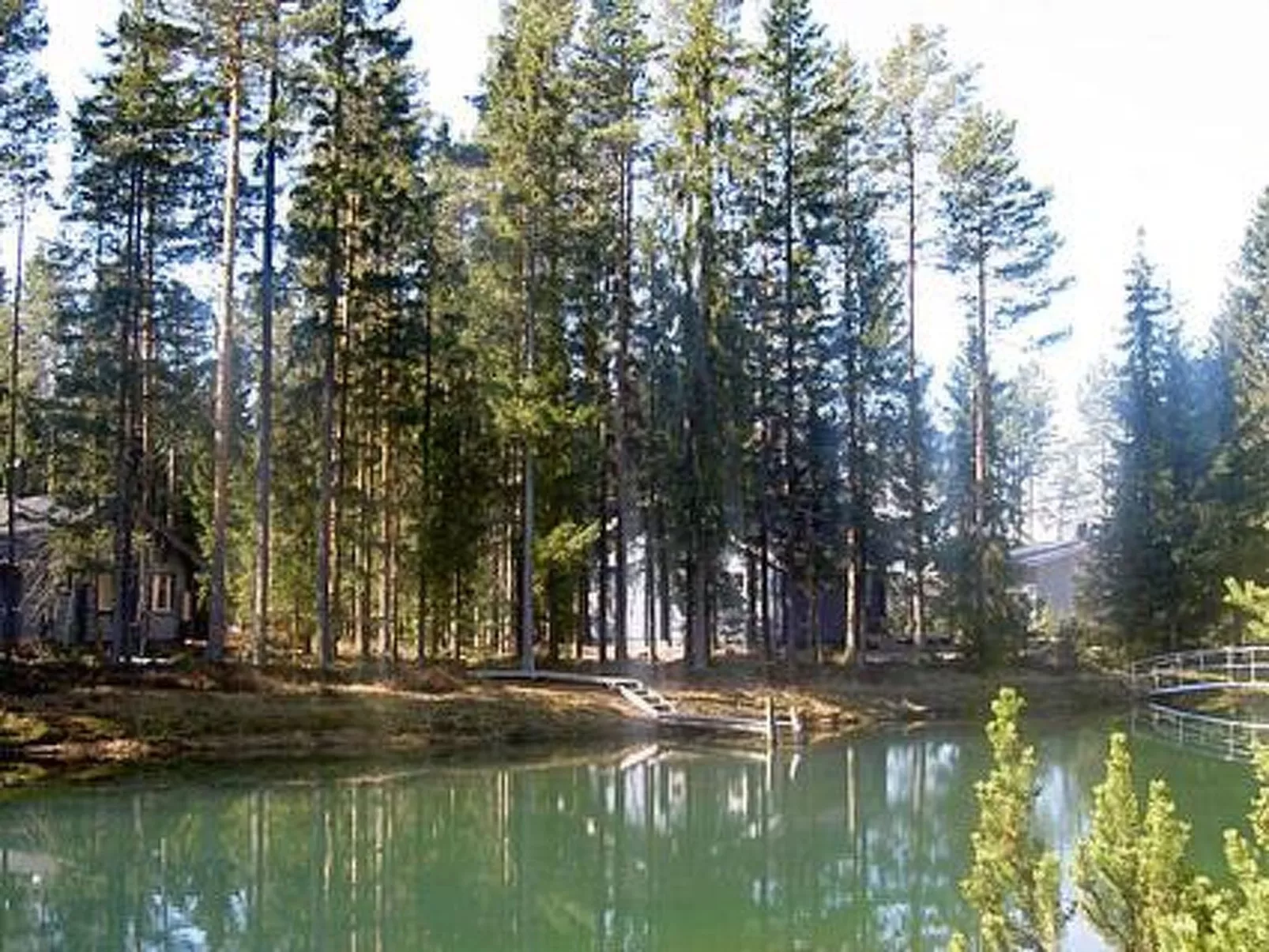 Murrenkolo