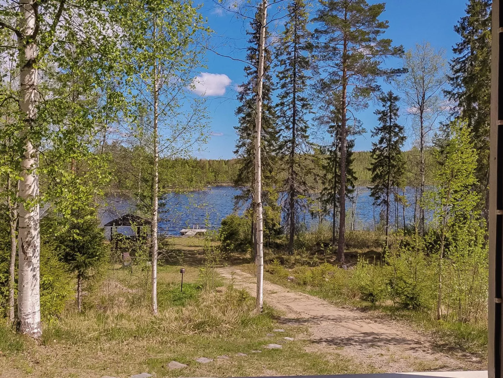 Kuusirinne