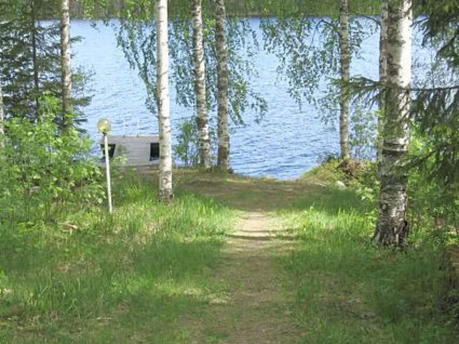 Pellervo