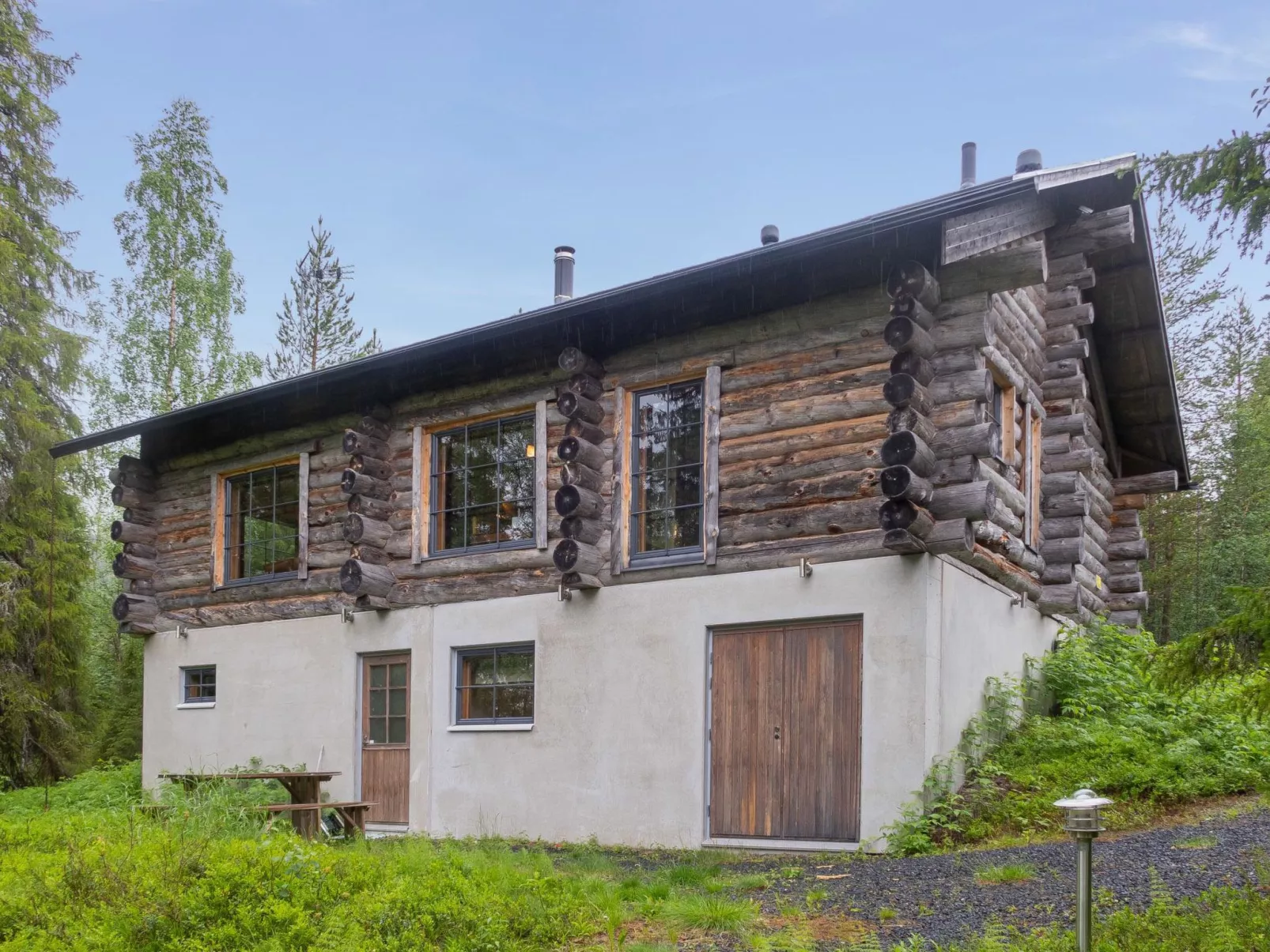 Muuttohaukka-Buiten