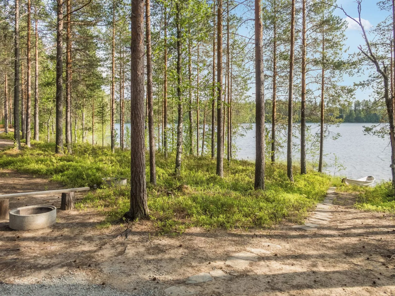 Puolukka