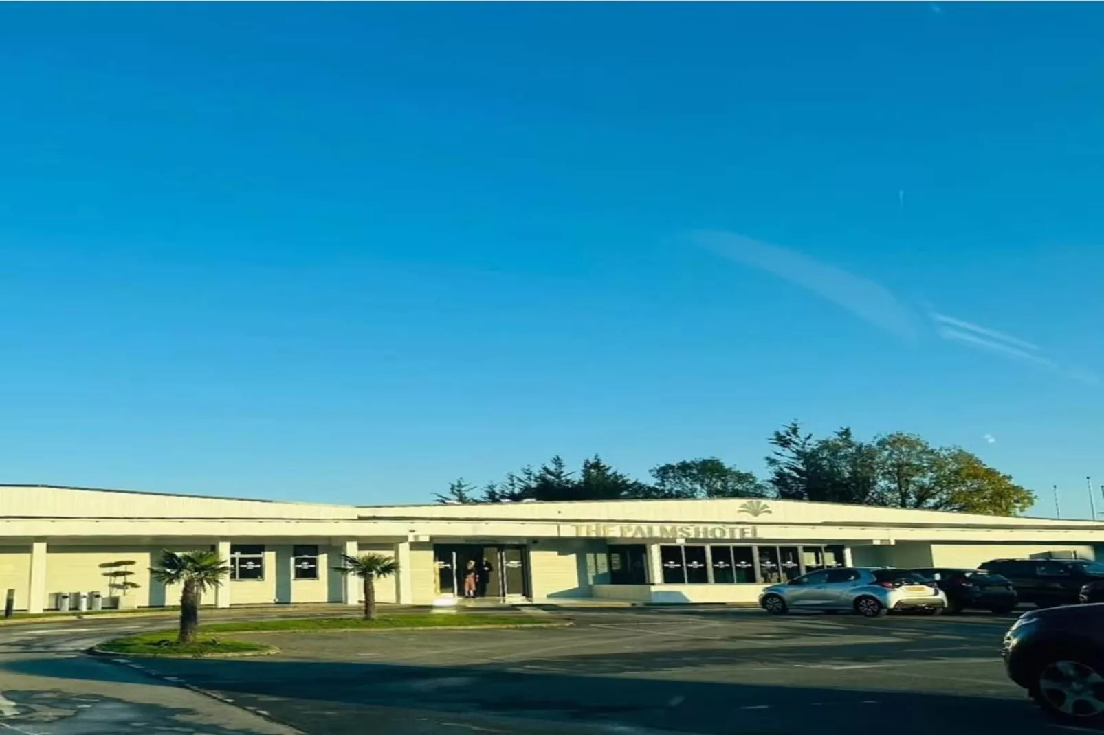 Palms Sta Twin