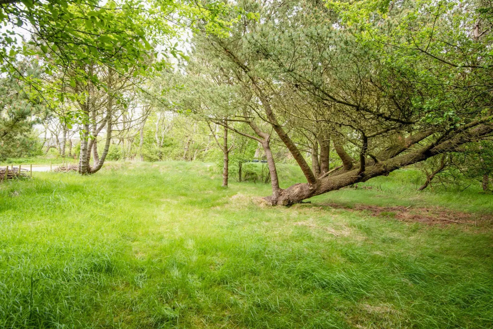 6 persoons vakantie huis in Hurup Thy-Buitenlucht