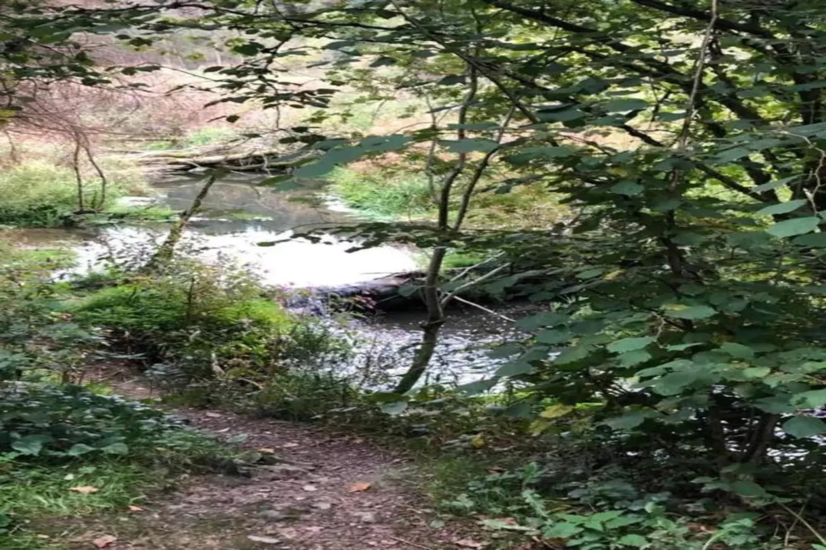 Au Vieux Hêtre-Gebieden zomer 20km