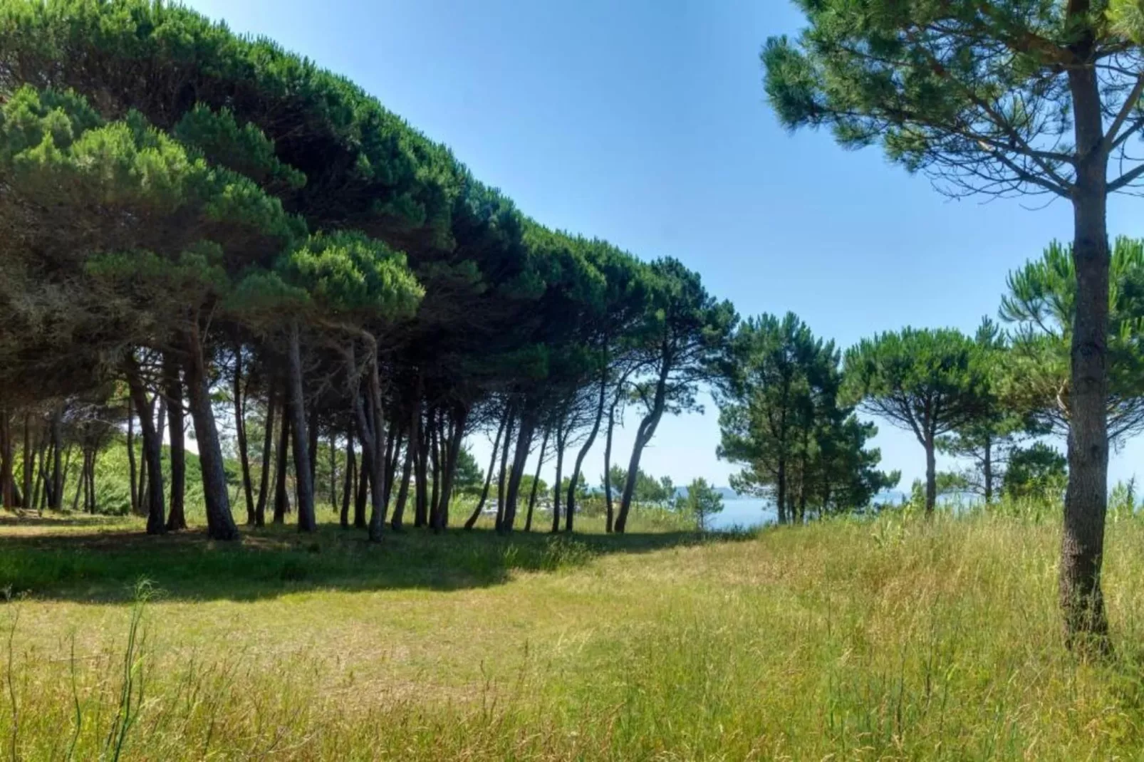 La Grange-Gebieden zomer 20km