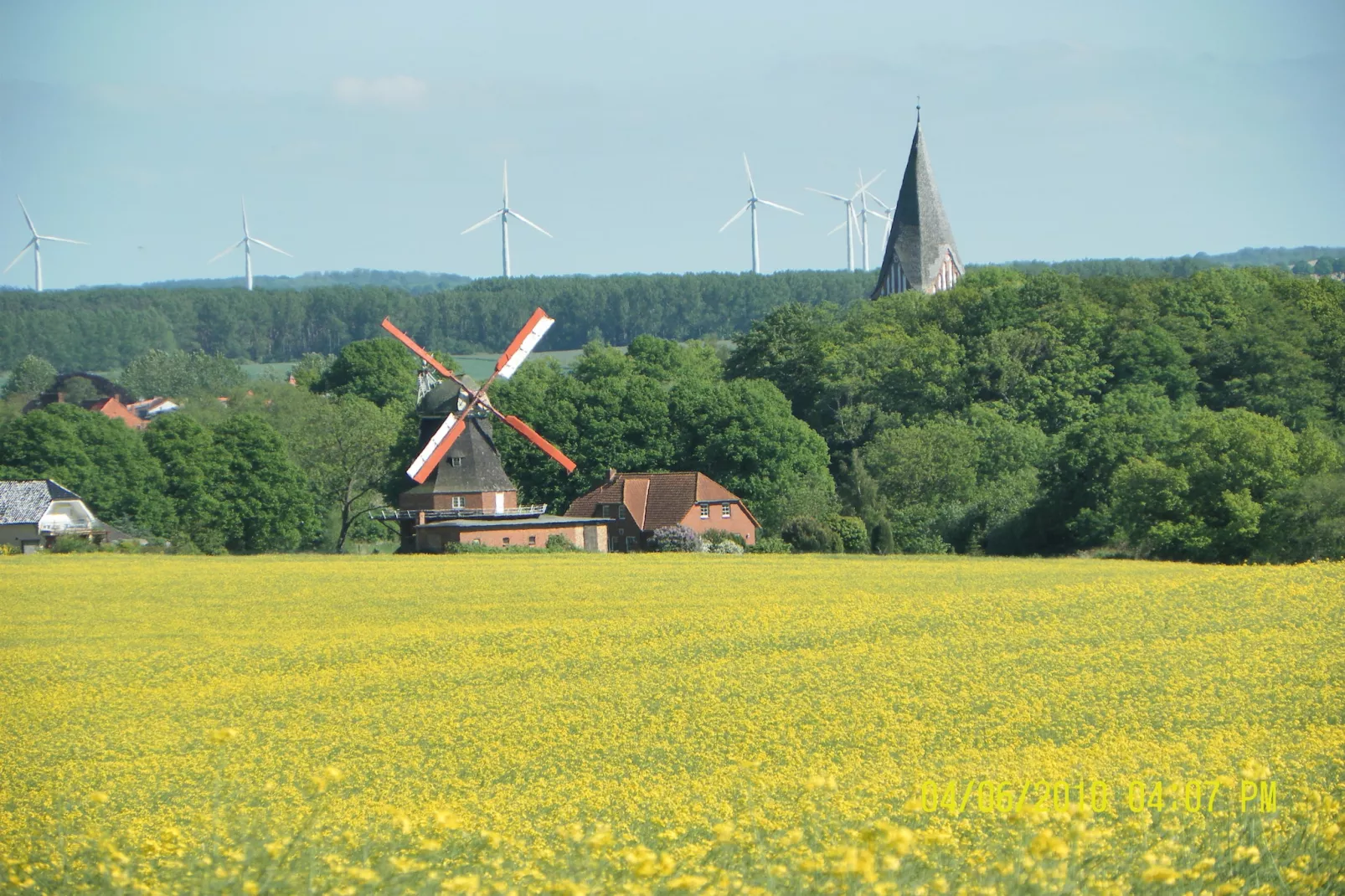 Sommerrose-Gebieden zomer 1km