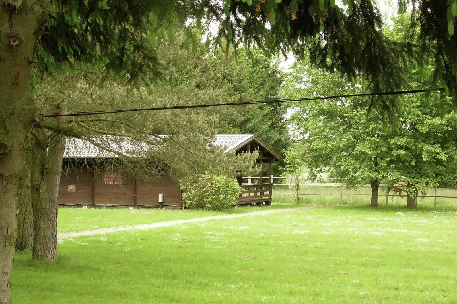 Lüneburger Heide-Tuinen zomer