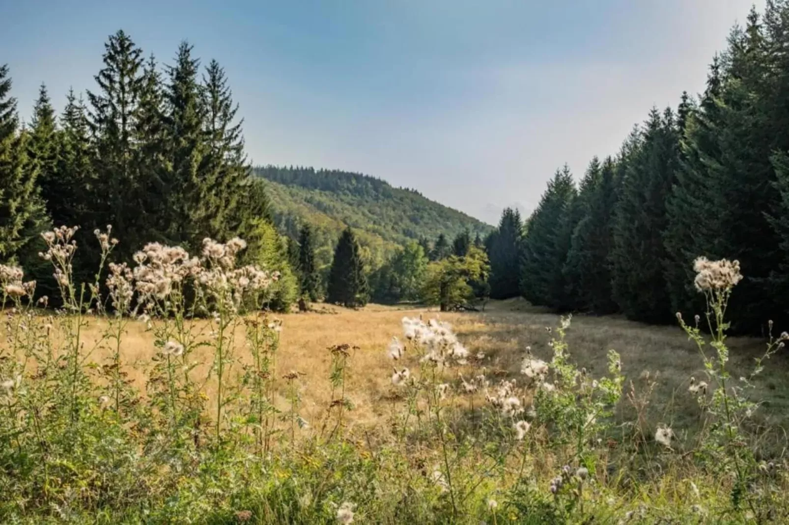 Höxter-Gebieden zomer 20km