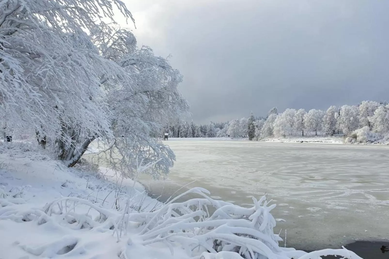 Waldferienhaus-Gebied winter 5km