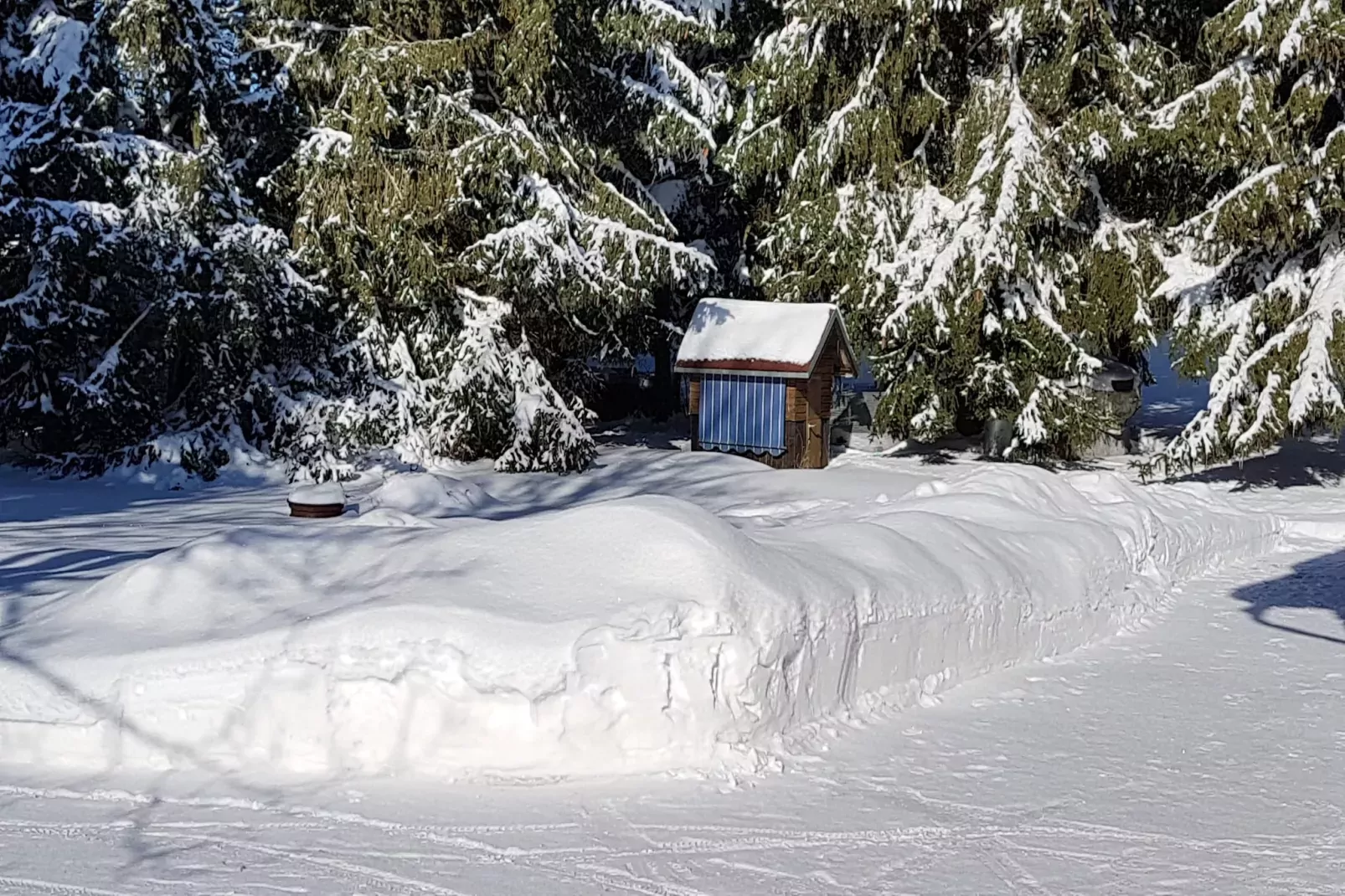 Benneckenstein-Tuin winter