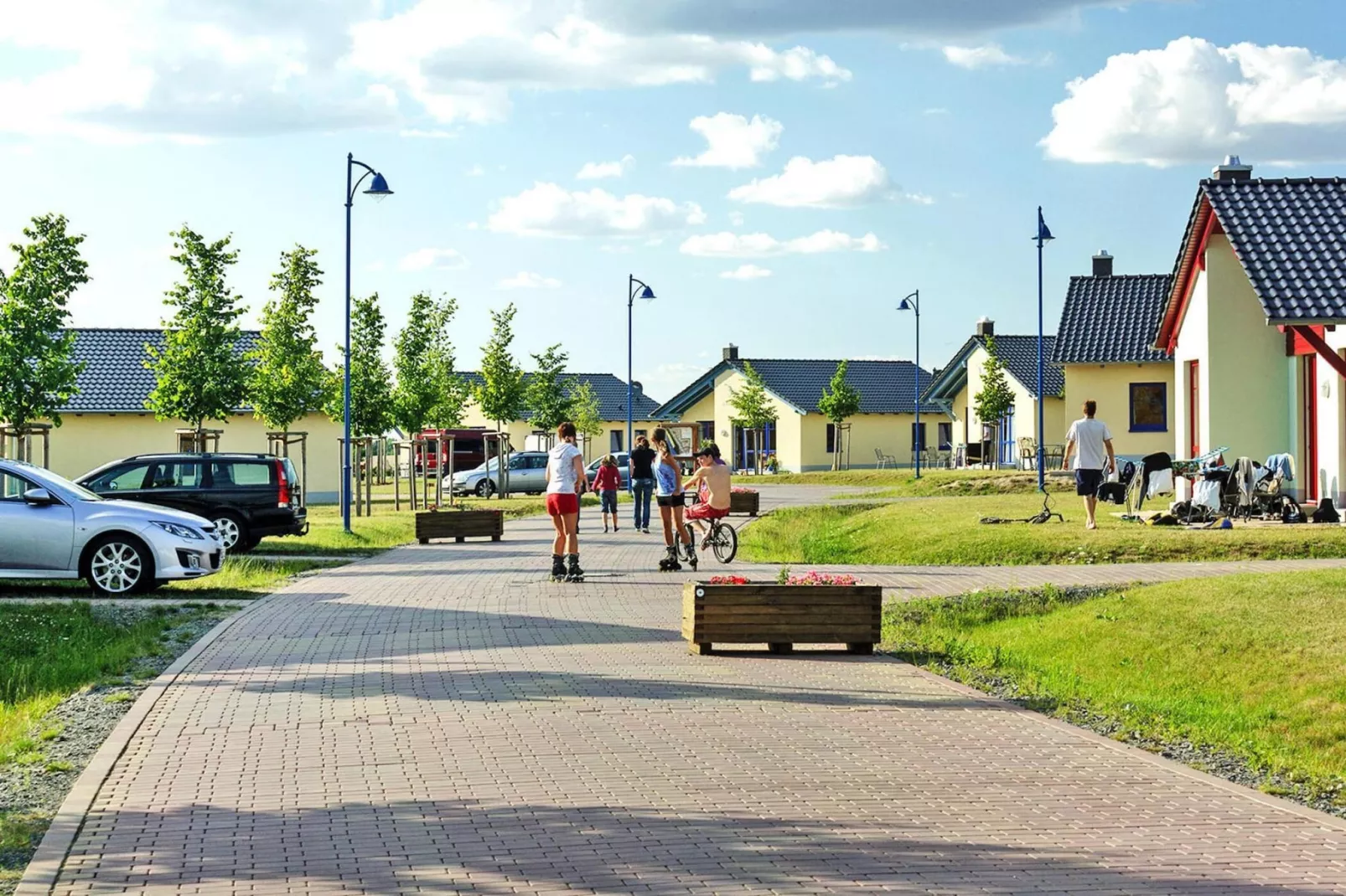 FH Korallenmöwe-Buitenkant zomer