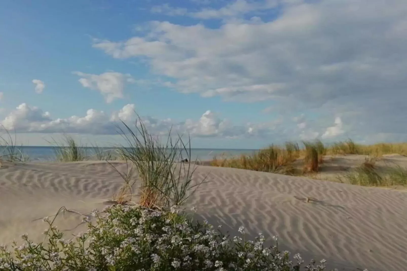 Gîte 9-Gebieden zomer 5km