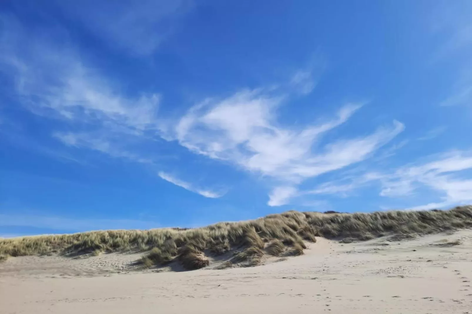 Fort den Haak - Chalet 1 t/m 10 huisdiervrij-Gebieden zomer 5km