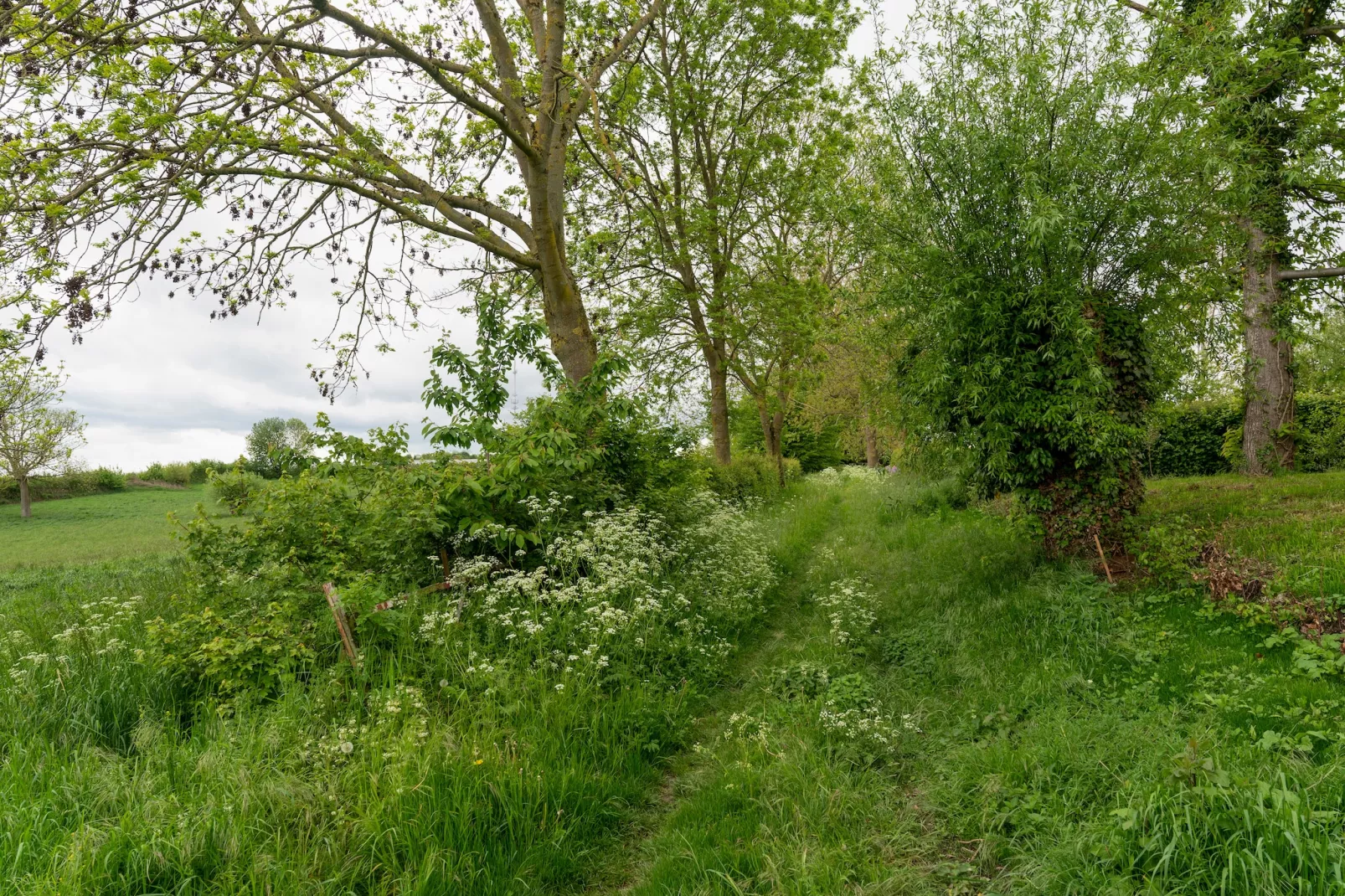 Valleyview Cottages - NR14-Gebieden zomer 5km