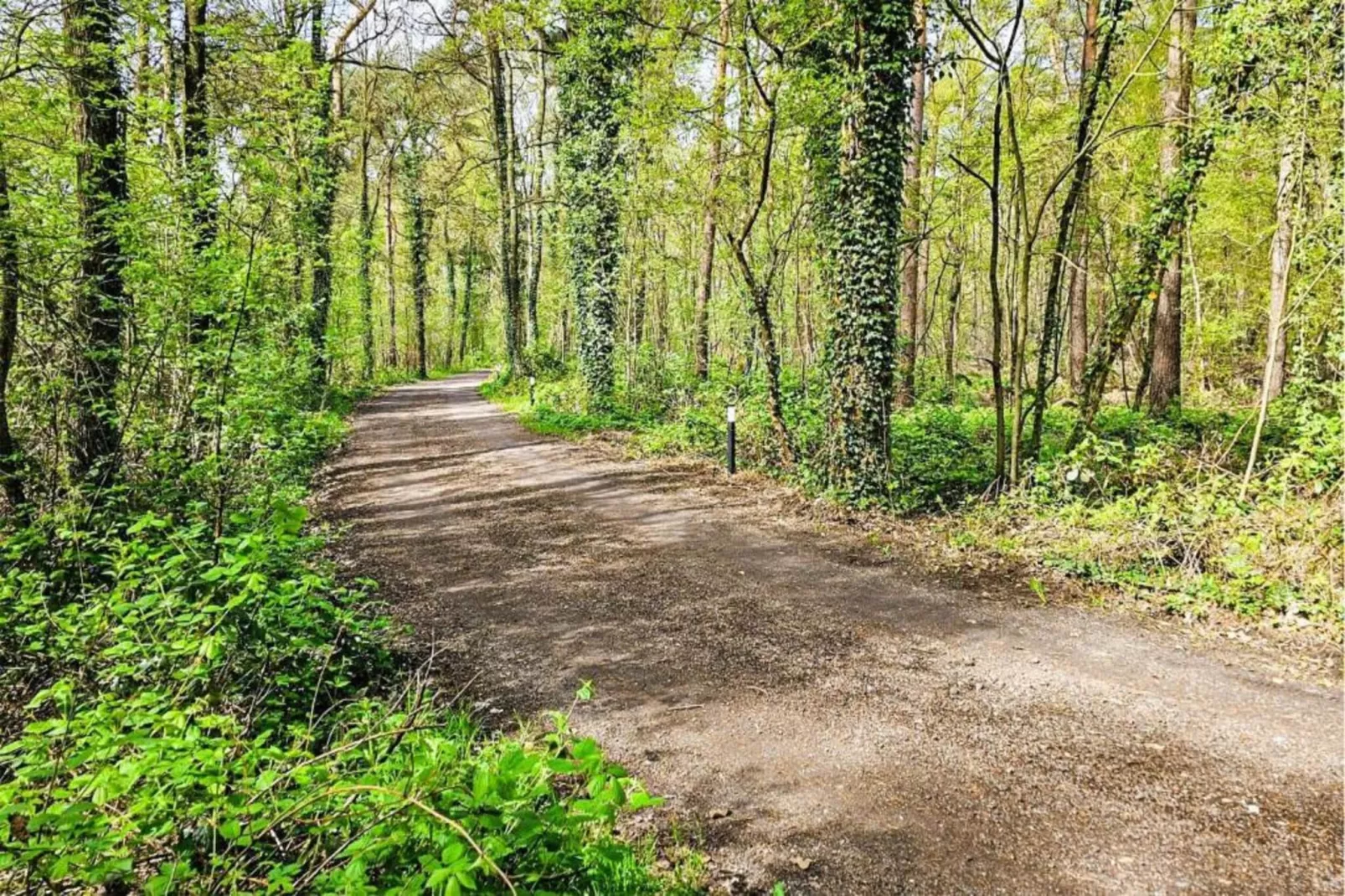 Kabinet-Gebieden zomer 20km