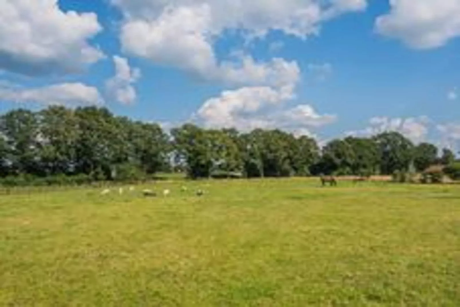 Boerderij Dwingelderveld-Gebieden zomer 5km
