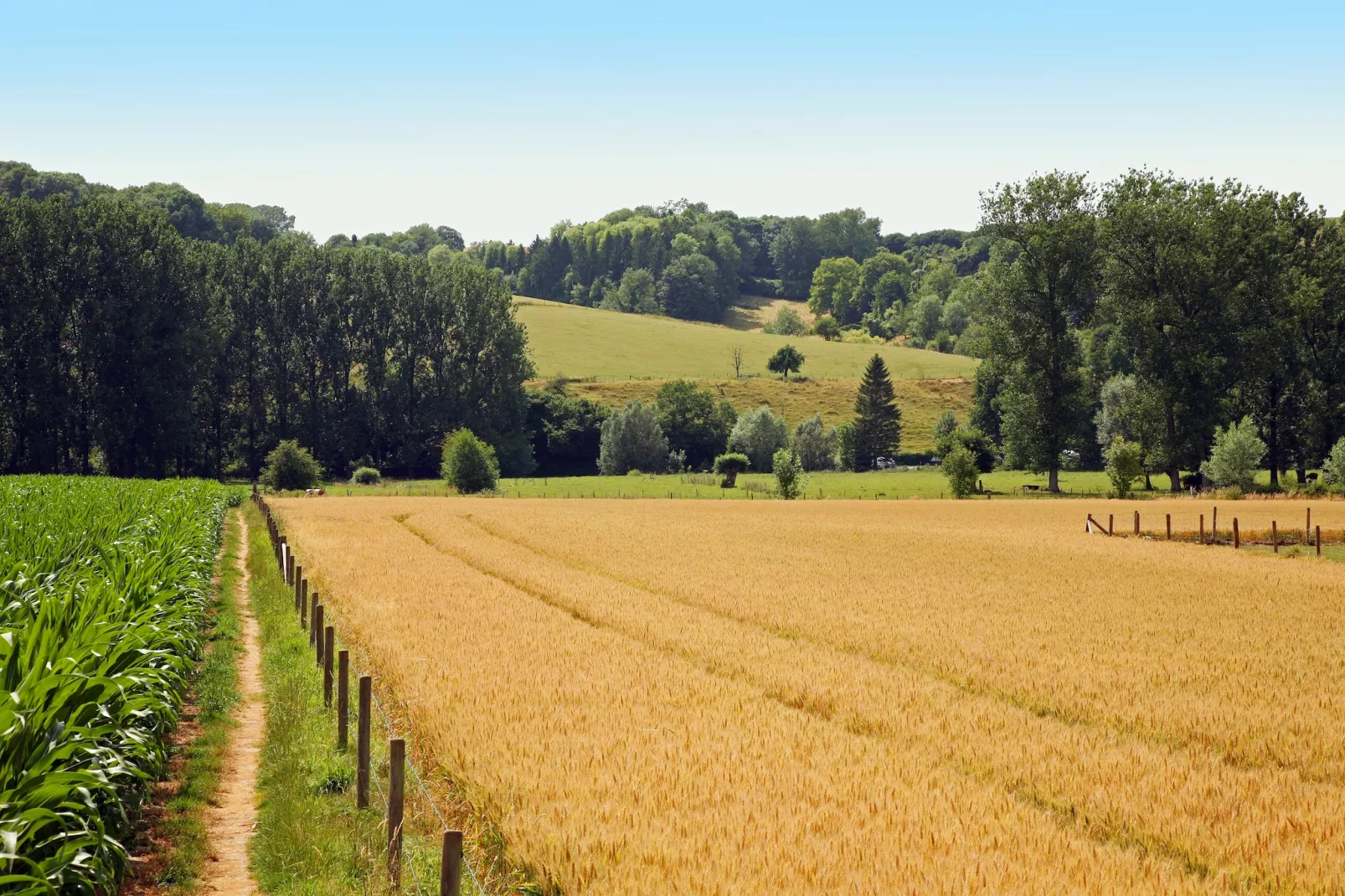Hoeve in gunne winkel 1-Gebieden zomer 1km