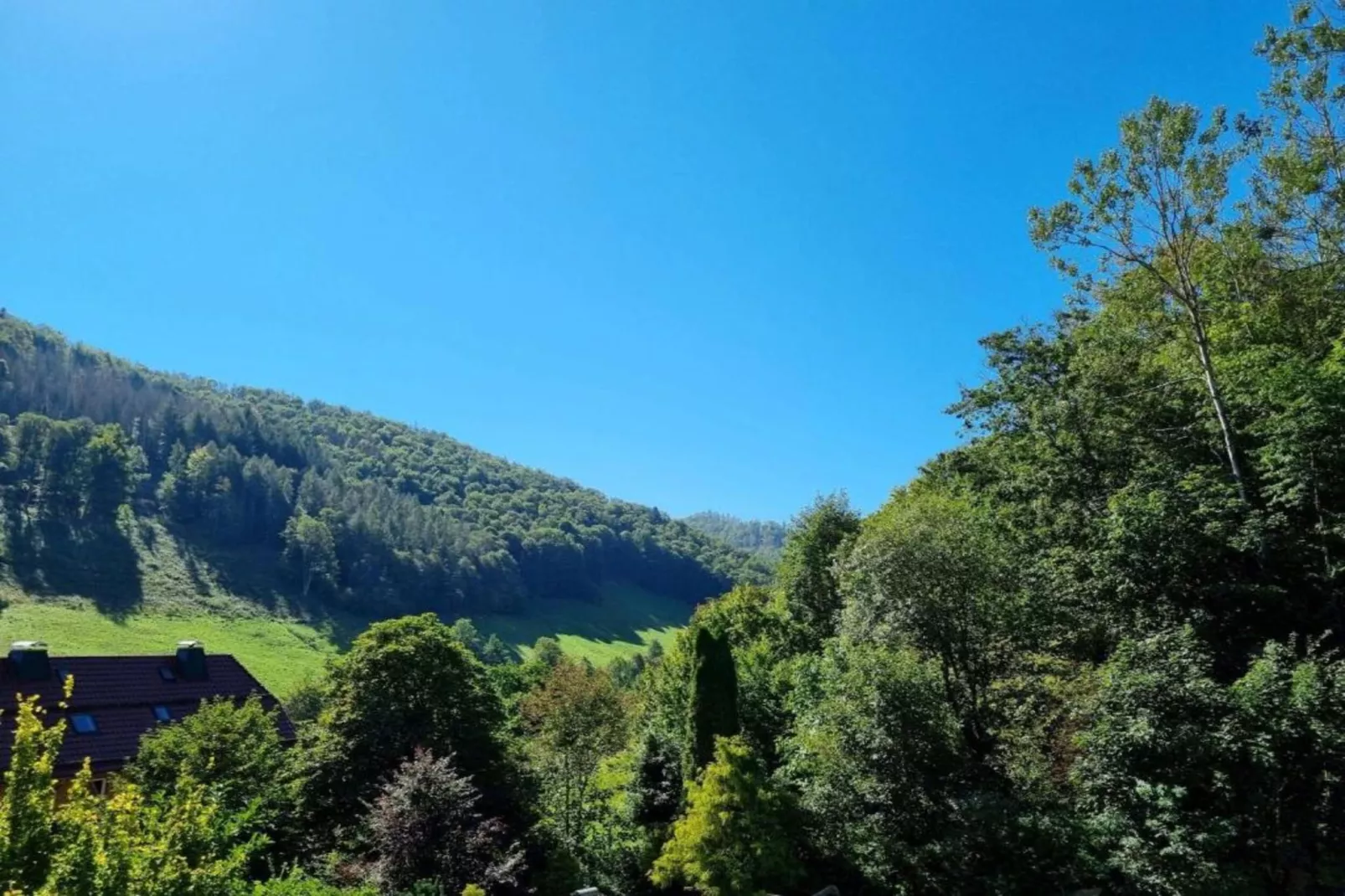 Grand Chalet am Bergflüsschen-Gebieden zomer 20km