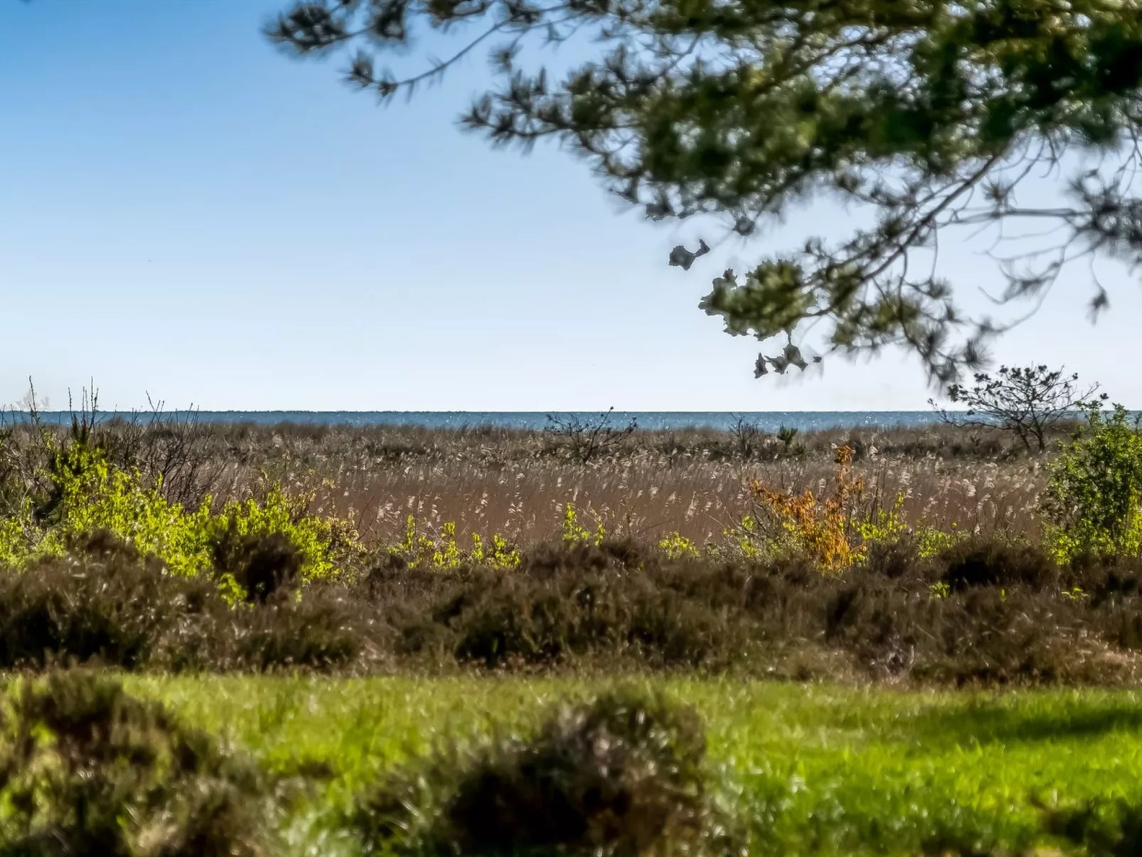 "Annestine" - 200m from the sea-Buiten