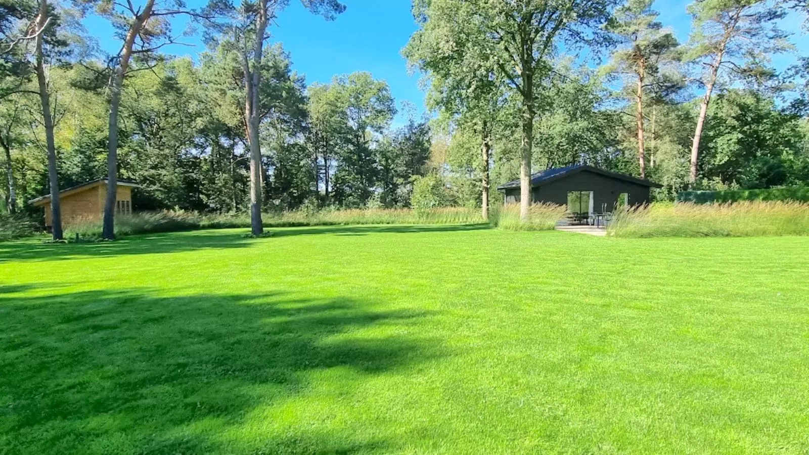 Quercus-Buitenkant zomer