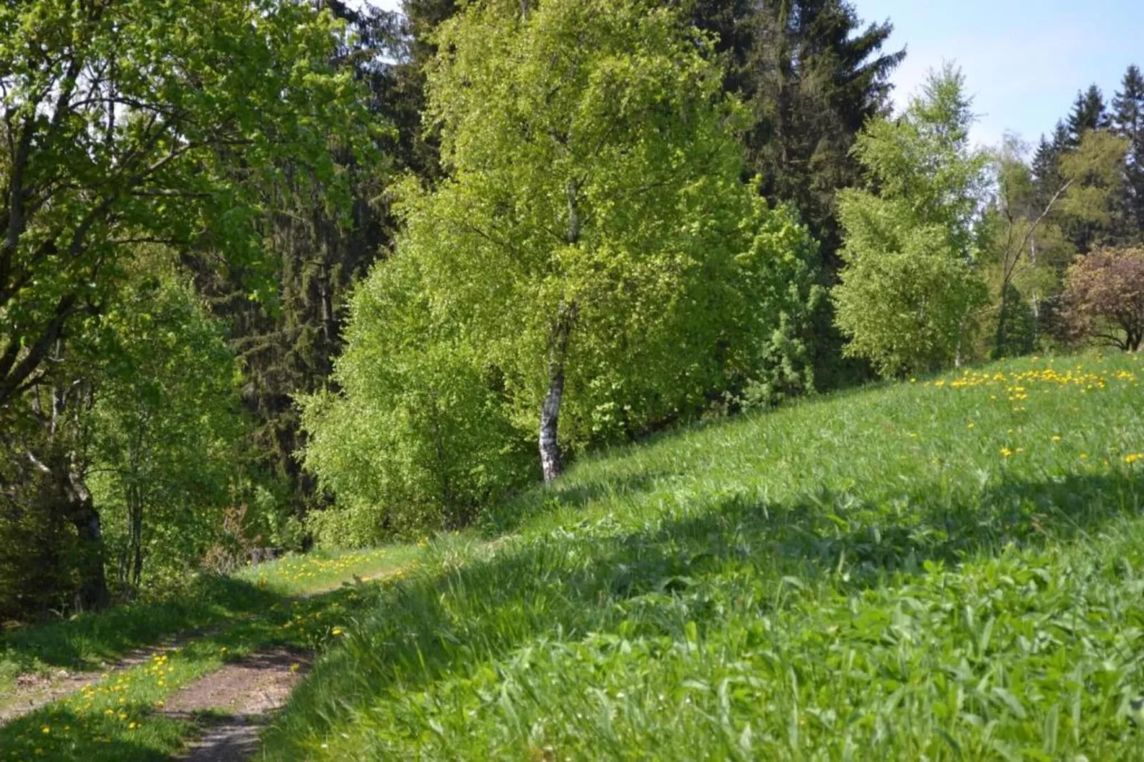 Ferienwohnung Veranda in Harz Wildemann-Gebieden zomer 20km