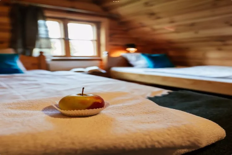 Dom przy drodze Skansen dla 9 osób Bełczna-Slaapkamer