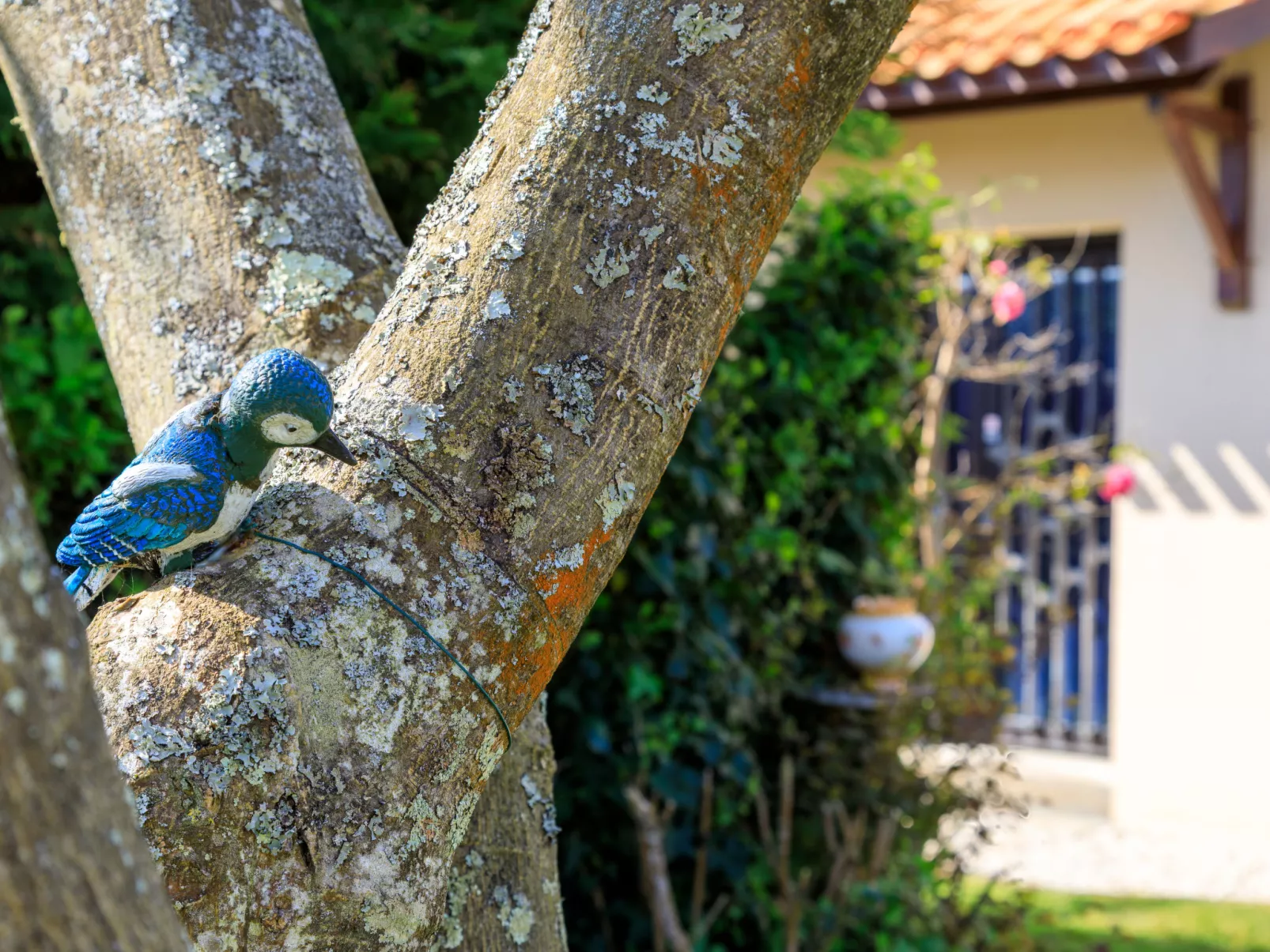 L'Oiseau Bleu-Buiten