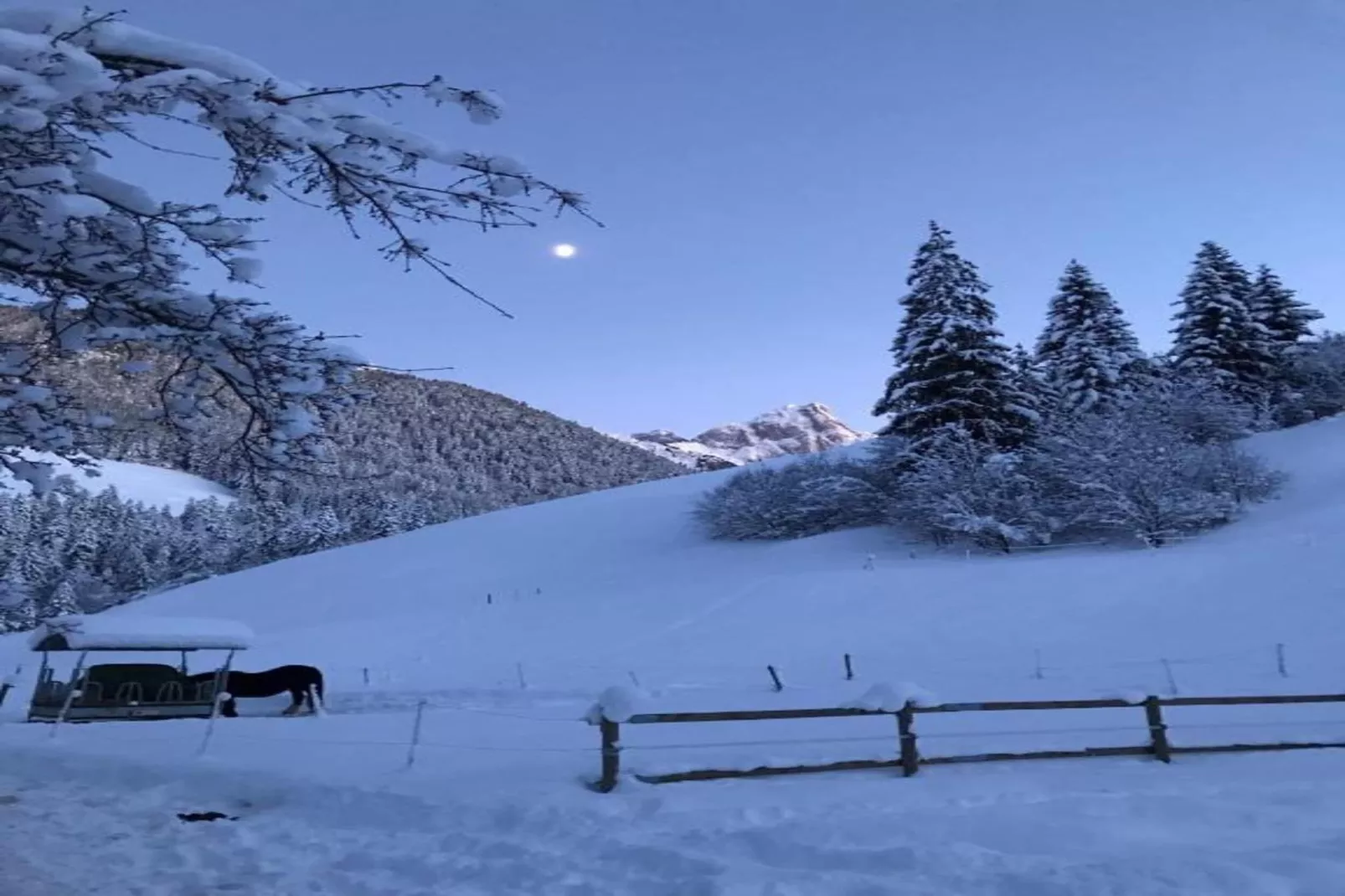 Beautiful Alpine Luxury Flat in Rougemont-Gebieden zomer 20km