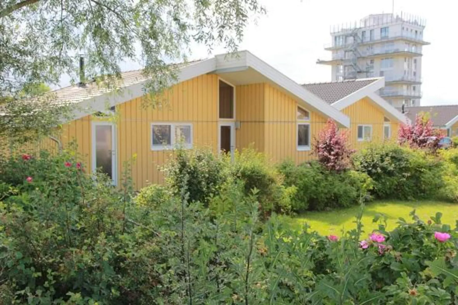Ferienhaus Seeschwalbe-68-Buitenkant zomer