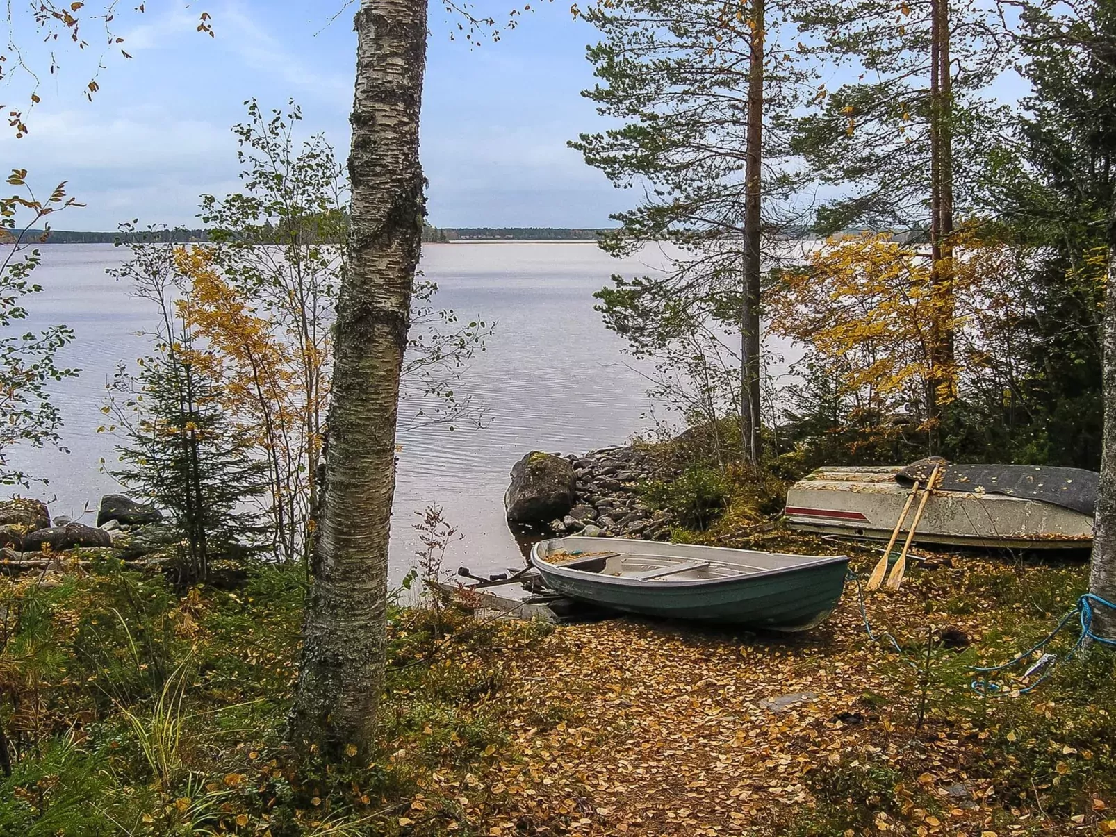 Mäntyranta-Buiten