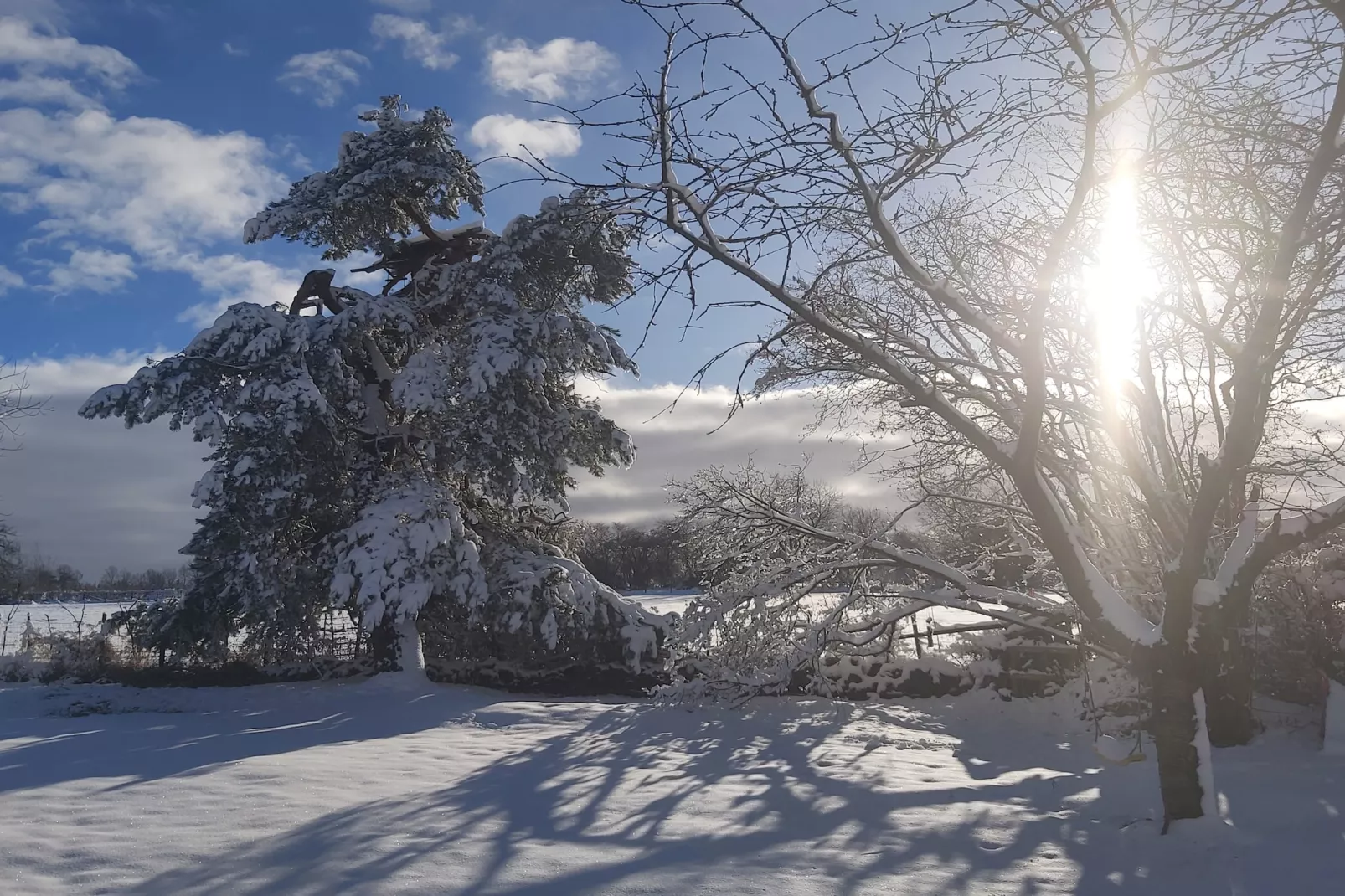 Ardennes Bleu 4 pers maximum-Tuin winter