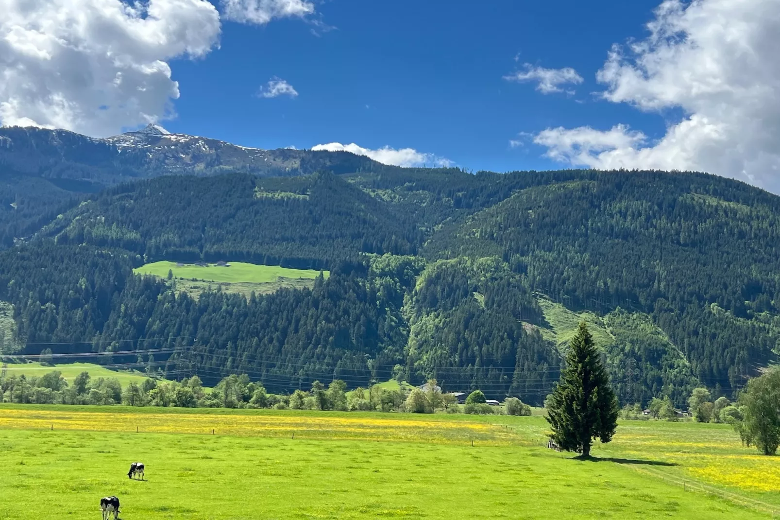 Vakantiehuis vlakbij Kaprun, in Zell am See-Uitzicht zomer