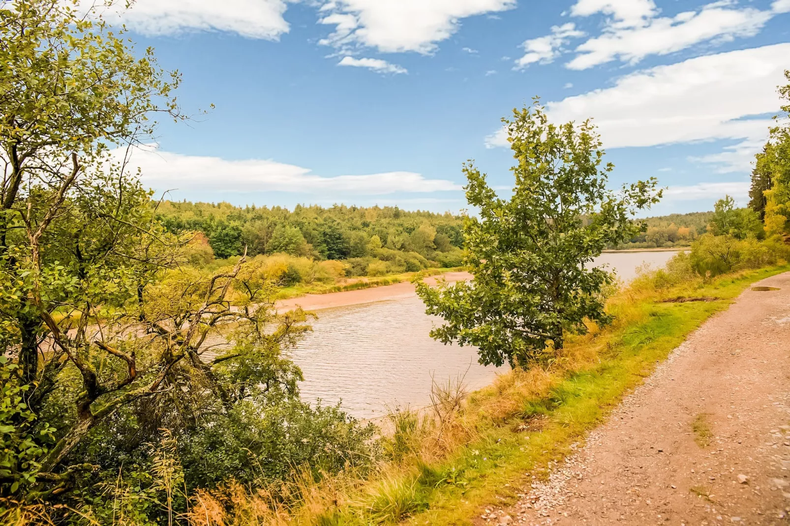 Au bout de l'Ardenne-Gebieden zomer 1km