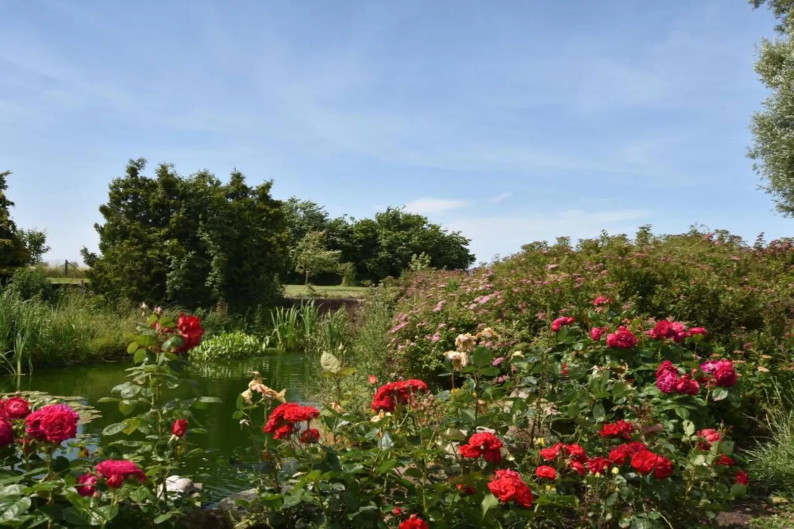 Ferienzimmer im Birkenweg-Gebieden zomer 20km
