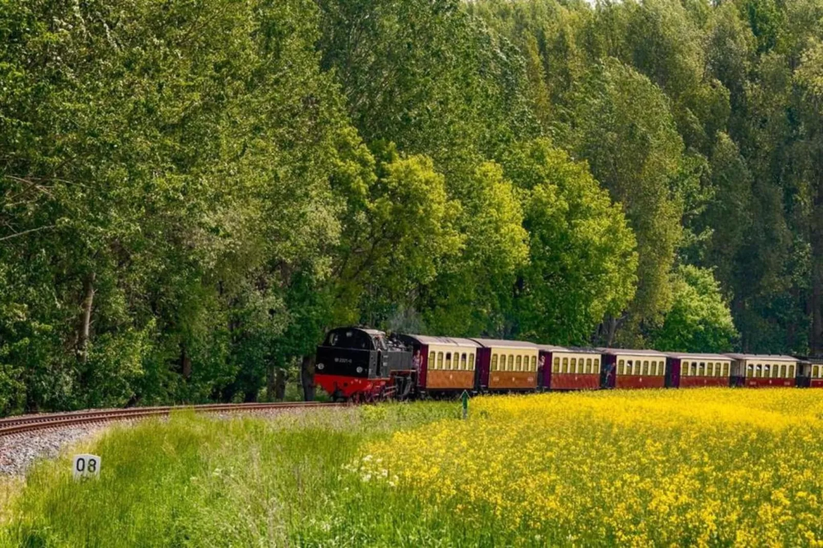 Schwalbenhof im Reetdachhaus-Gebieden zomer 20km
