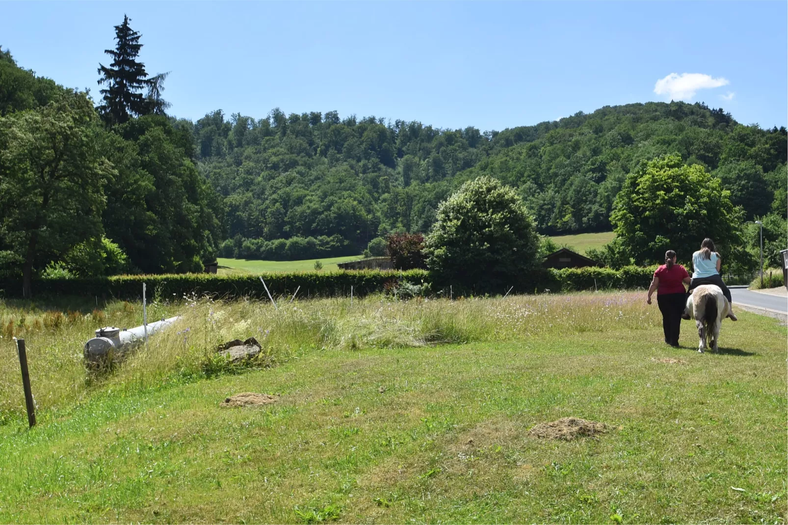 Am Ferienbauernhof - FW 1-Gebieden zomer 1km