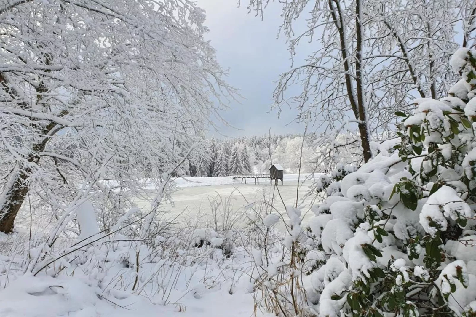 Hahnenklee 608 - Bergseite-Gebied winter 5km