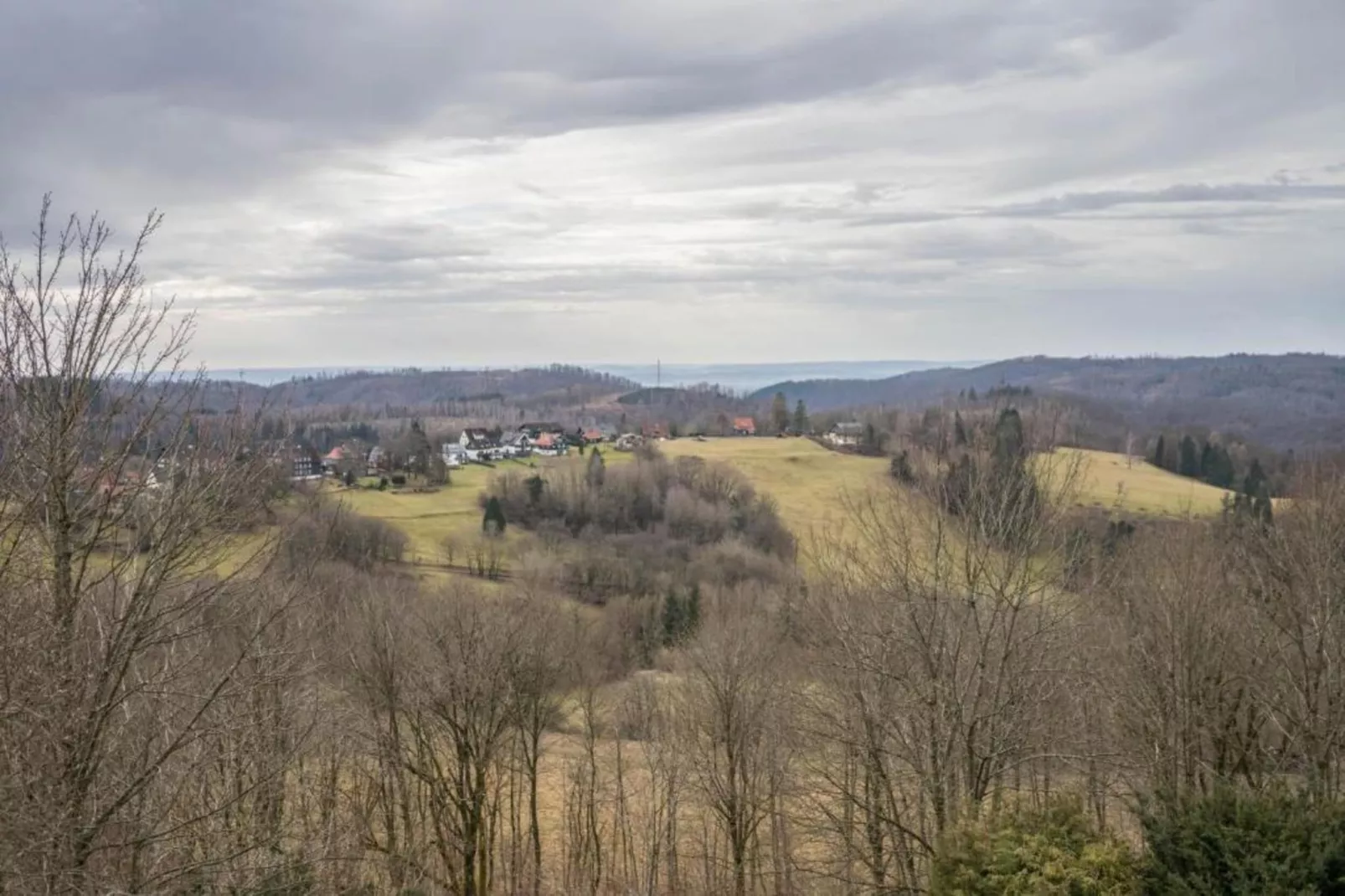 Waldferienhaus-Gebieden zomer 20km
