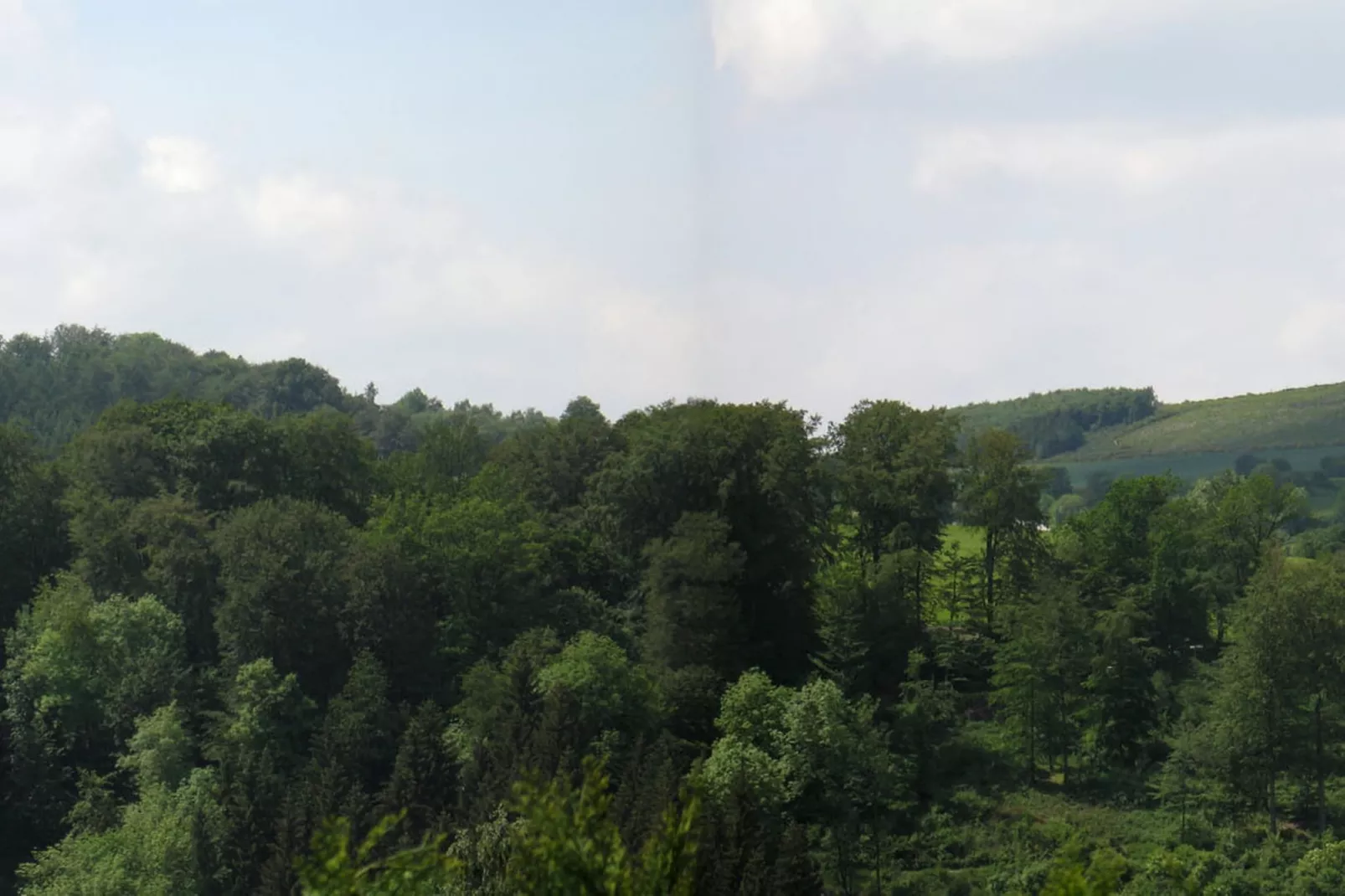 Ober der Hasselt-Uitzicht zomer